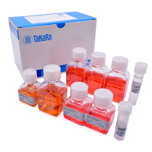 Y30050: Cellartis Hepatocyte Differentiation Kit