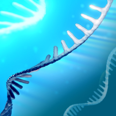 RNA strands