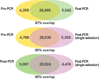ChIP-seq library construction