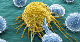1.03 | RNA-seq shows its sensitive side