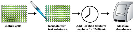 LDH protocol