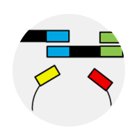 Bicistronic IRES vectors