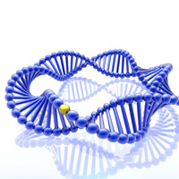 Ligation Kits