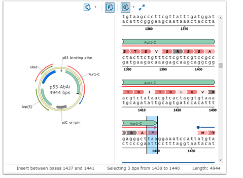 Vector sequence window