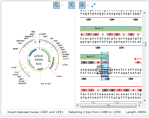 Vector sequence window