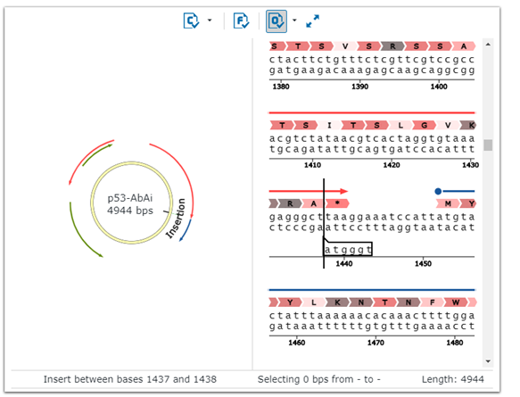 Vector sequence window