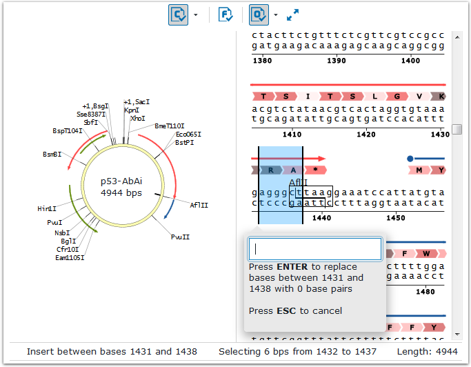 Vector sequence window