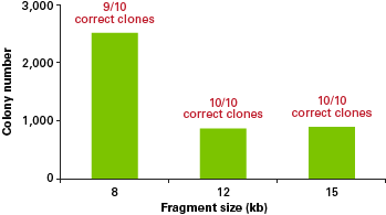 High success rate for In-Fusion Cloning with large DNA fragments