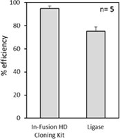 Quantitative comparison of cloning efficiencies obtained with In-Fusion