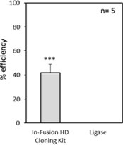 Quantitative comparison of cloning efficiencies obtained with In-Fusion