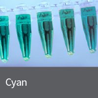 Plasmids containing cyan fluorescent proteins