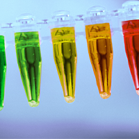 Fluorescent Proteins