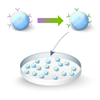 T-cell engineering