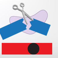 Genotype confirmation kit