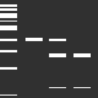 Mutation detection kit