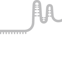 sgRNA strand