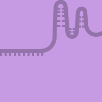 Genome-wide sgRNA libraries