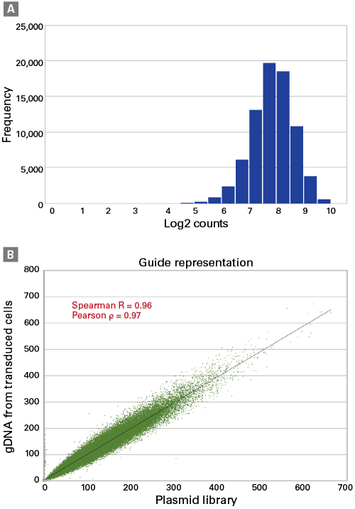 sgRNA representation
