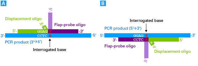 Example of a limitation in the design of the displacement oligo