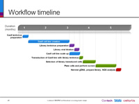 Workflow and timeline for a genome-wide library screen