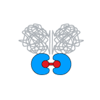 Inducible homodimerization systems