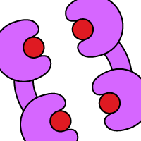 Disrupt protein-protein interactions or induce secretion