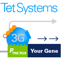 Tet-tTS transcriptional silencer