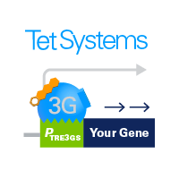 Tetracycline-inducible expression systems including Tet-On 3G, Tet-Off, and Tet-One
