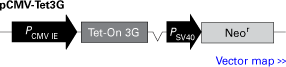 pCMV-Tet3G regulator plasmid