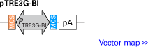 pTRE3G-BI bidirectional response plasmid
