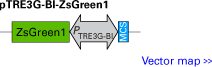 pTRE3G-BI-ZsGreen1 bidirectional response plasmid