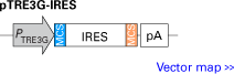 pTRE3G-IRES bicistronic response plasmid