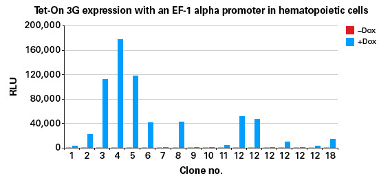 Express Tet-On 3G from EF1a in Jurkat cells