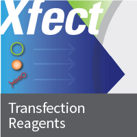 Transfection reagents, tips and transfection efficiency