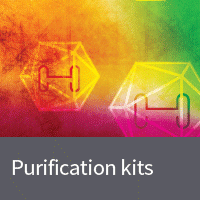 AAV purification kits