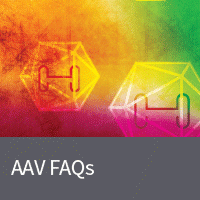 AAV FAQ