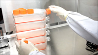 Preparation of AAV extract from cells