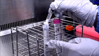 Purification of AAV particles from extract