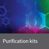 Adenovirus purification kits