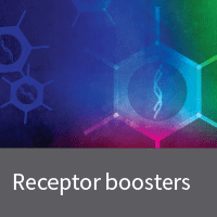 CAR receptor boosters