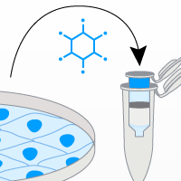 Accurately determine adenovirus titer using qPCR