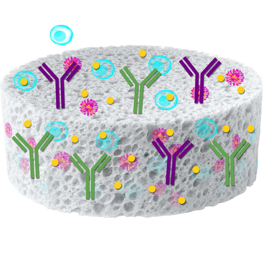 Lenti-X T-Cell Transduction Sponge