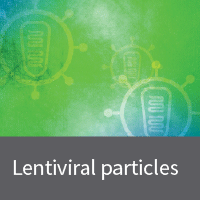 Premade lentivirus to express the Tet-On 3G transactivator