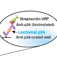 Lentivirus titration kit options