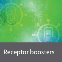 Temporarily elevate the density of the ecotropic receptor protein mCAT-1 on the surface of any target cell that you wish to infect