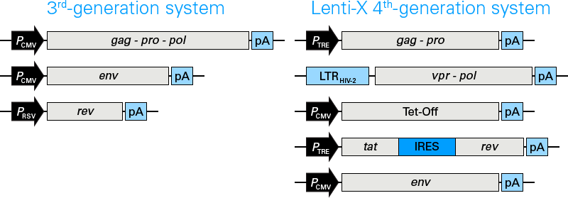 4th generation lentiviral packaging system