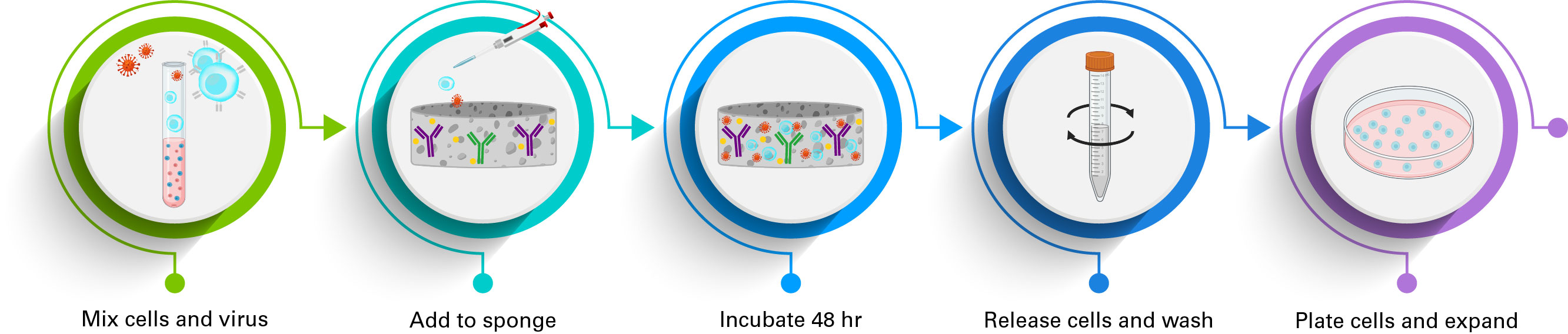 images/383-Lentivirus/CC-TechFigs/Lenti-X-T-Cell-Transduction-Sponge-workflow-9784-iT.jpg
