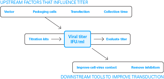 Factors that influence titer and tools to improve transduction