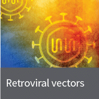 Retroviral vectors and systems