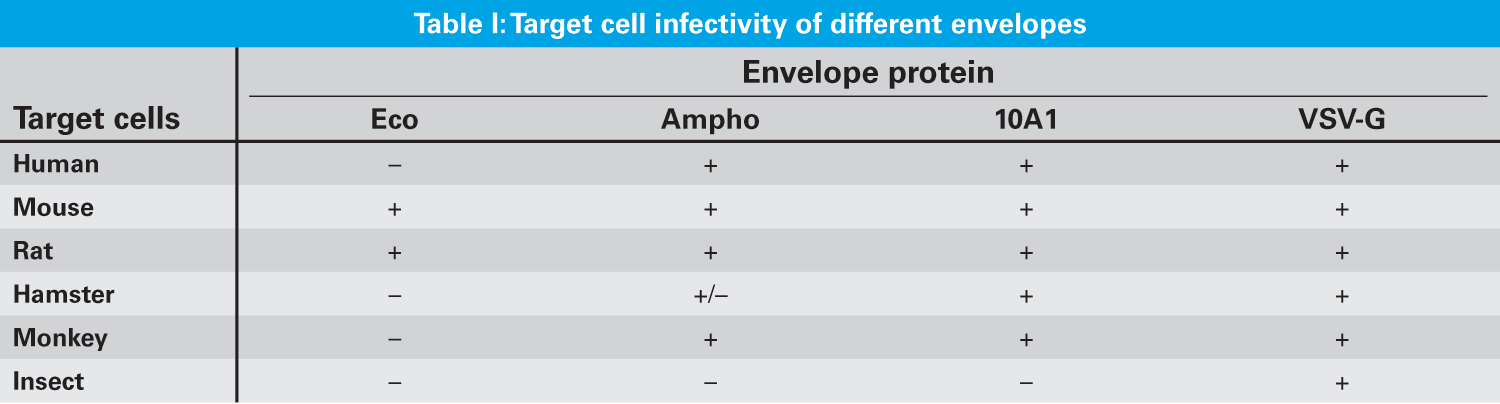 Target cell infectivity of Retrovirus